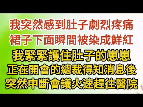 大結局【上】《挺著孕肚逼婚》第09集：我突然感到肚子劇烈疼痛，裙子下面瞬間被染成鮮紅，我緊緊護住肚子的崽崽，正在開會的總裁得知消息後，突然中斷會議火速趕往醫院……#婚姻 #愛情#甜寵#故事#小說#霸總