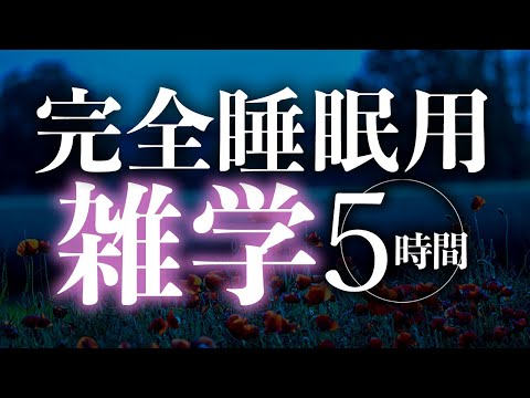 【睡眠導入】完全睡眠用雑学5時間【合成音声】