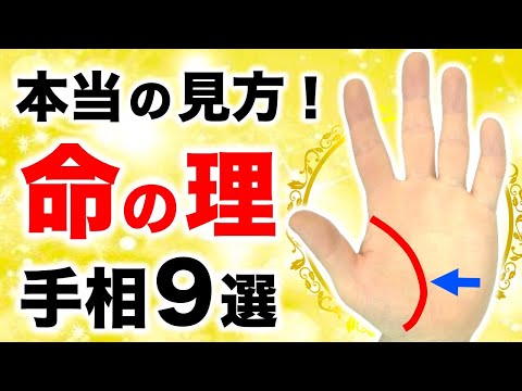 【手相】初心者でもわかる！本当の生命線手相９選