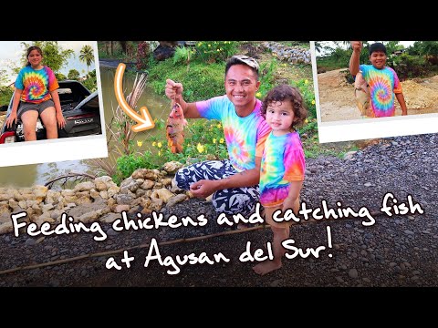 Feeding chickens and catching fish at Agusan del Sur!