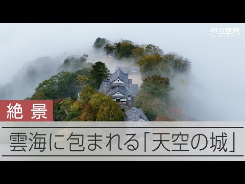 雲海が包み込み「天空の城」となった備中松山城をドローンで撮影