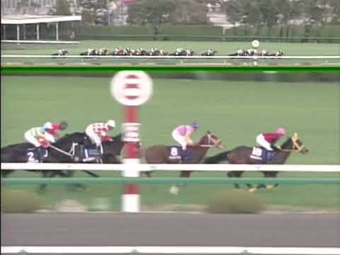 ラインクラフト 2004年 第56回阪神ジュベナイルフィリーズ(GI)  (優勝馬：ショウナンパントル)