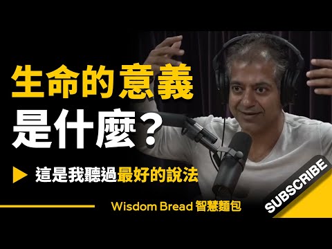 生命的意義是什麼？► 這是我聽過最好的說法 - Naval Ravikant 納瓦爾·拉維坎特（中英字幕）