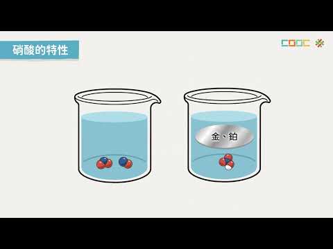 108新課綱｜高三化學｜【觀念】氮化合物的介紹