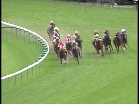 ジャングルポケット 2000年 第35回札幌3歳ステークス(GIII) (優勝馬：ジャングルポケット)