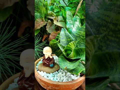 Miniature Garden |Decor plant idea #plants #garden #gardeningideas #youtubeshort #gardeningtips