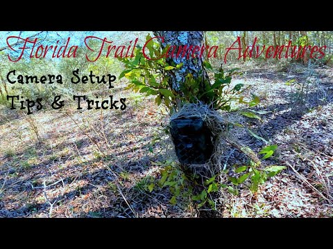 Trail Camera Setup Tips & Tricks