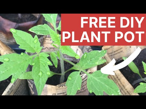 Biodegradable Newspaper Plant Pots in 60 Seconds