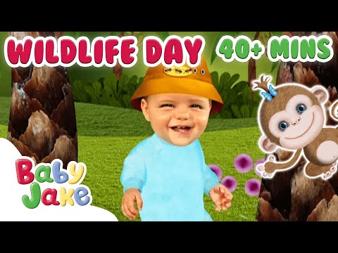 @BabyJakeofficial - 🌴🐒 Learn about Wildlife 🐒🌴  | 40+ MINS | Wildlife Day | Yacki Yacki Yoggi