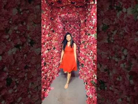 Soni! #sonisoni #flowers #hindisong #flowerfestival #soni#summer #dress #sunnyday