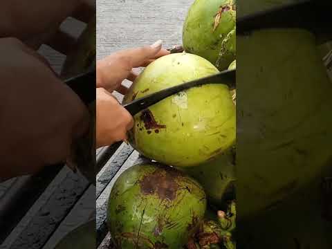 pinakasariwang katas ng buko pH street food #bukojuice #streetfood #youtubeshorts @GatchieJr33