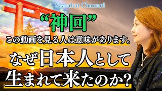 【 神回 】この動画を見る人は意味があります。なぜ日本人として生まれて来たのか！【Saarahat/サアラ】