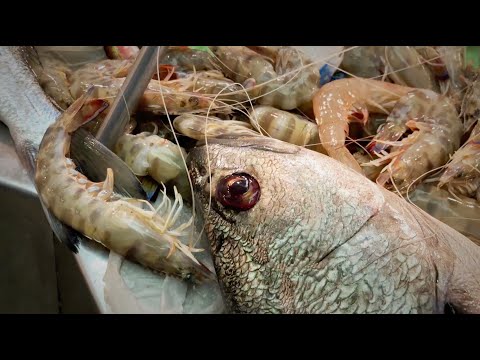 We Explore a Turkish Fish Market