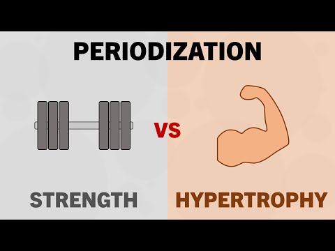 Periodization of Strength vs Hypertrophy Training