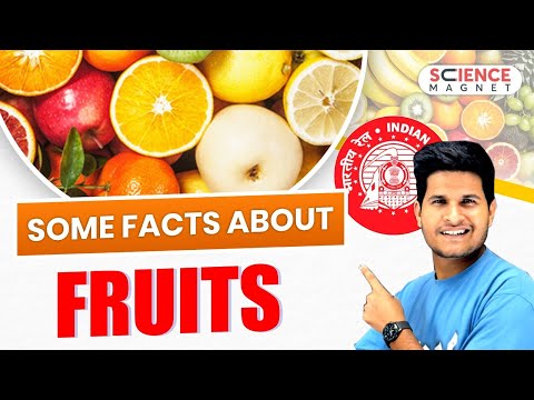 Railway Exams 2024-25 Some facts about fruits #neerajsir #sciencemagnet