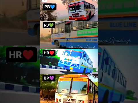 which one is best ? 🔥 amazing bus shorts 🔥🔥 buses of bathinda 🔥🔥 #trending #bus #shorts #punjab #bob