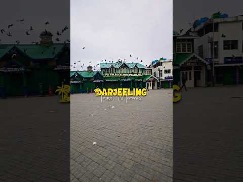 The Queen of hills, Darejeeling #travel #darjeeling #shorts #travelmemories