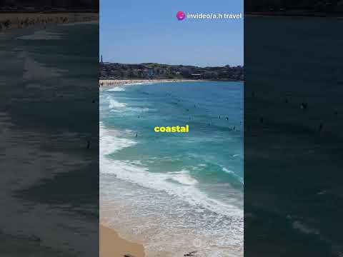 #come #to #visit #sydney #travel #australia #trip #subscribe #shorts #video