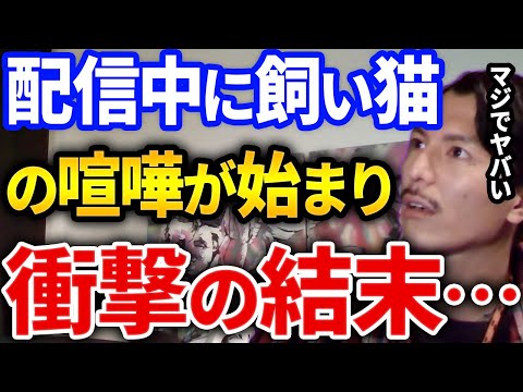 まさかの結末…ふぉいの飼い猫が配信中に喧嘩した起きた事とは、ペットを飼う理由について持論を話すふぉい【DJふぉい切り抜き Repezen Foxx レペゼン地球】