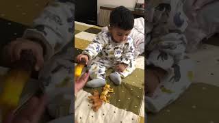 18 Months old baby identifying Wild Animals #toddlermilestone #babiesofinstagram #babiesofindia