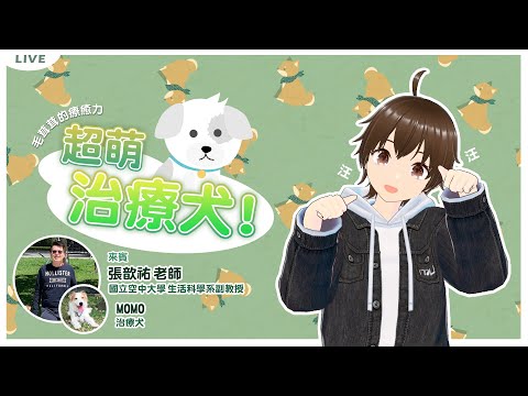 毛茸茸的療癒力~ 超萌治療犬！ feat. 空大生科系 張歆祐老師