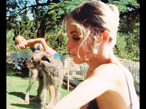 Sharon Tate Bathing Patty Duke's Dog "Finn"   1968