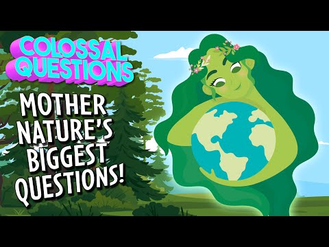 What On EARTH??? Answering Your Nature Questions | COLOSSAL QUESTIONS