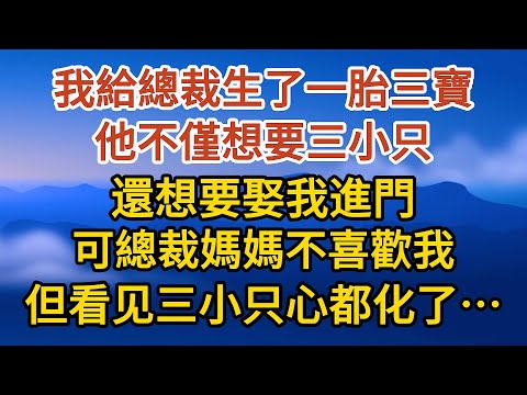 《生下三胎》 第04集：我給總裁生了一胎三寶，他不僅想要三小只，還想要娶我進門，可總裁媽媽不喜歡我，但一看我牽著三小只心都化了…#戀愛#婚姻#情感 #愛情#甜寵#故事#小說#霸總