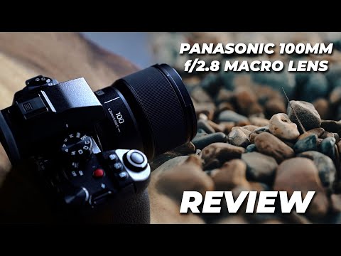 Panasonic Lumix S 100mm f/2.8 Macro Lens Review