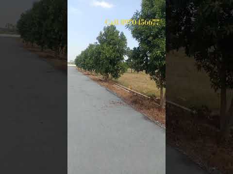 Lakshminarasimha Avenue plots at devara konda,Nellore #nudaapproved #narasimhakonda #lowbudgetplots