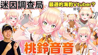 【迷因調查局】最遜卻又最具偶像力的Vtuber,桃鈴音音!努力發光發熱!/桃鈴ねね迷因介紹/遜豹迷因/遜豹NENE/Vtuber介紹/Hololive迷因/vtuber中文翻譯