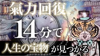 【氣力回復】14分で、辛い日々の中に人生の宝物が見つかります