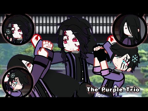 The Purple Trio ||Kny Swap.Au|| •Swap.Hashiras•     [Gl2]