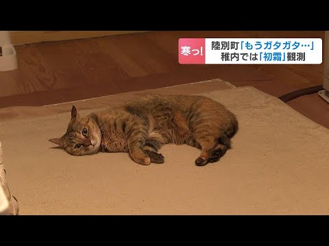 猫はストーブから離れられず…十勝の陸別町で－0.9℃「もうガタガタ」稚内市で“初霜”北海道内の約半分の観測地点で今季一番の冷え込み