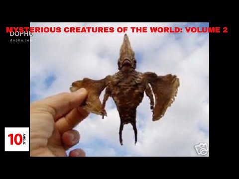 Top 10: Mysterious Creatures: Volume 2 (JEEZ THIS IS CREEPY!)