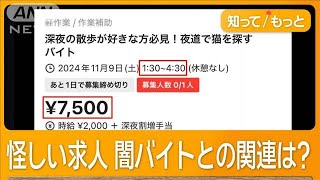 「真夜中のネコ探し」バイトアプリに怪しい求人　闇バイトとの関連は　掲載元は削除【もっと知りたい！】【グッド！モーニング】(2024年11月10日)