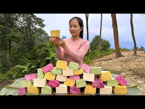 Mother of Two Children - The Process of Making Colorful Tofu - 3 Days - Cook for Poor Children