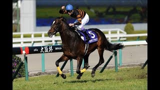 [競馬] キタサンブラック 全レース集（新馬～2017有馬記念）