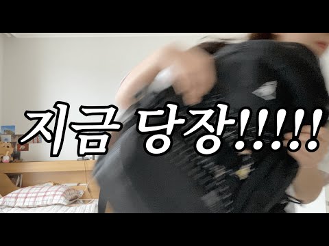 네? 일본 교환학생이요?! 네? 2주 뒤에요?! :[vlog] 출국 준비 2주 완성🇯🇵