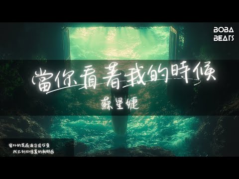 蘇星婕 - 當你看著我的時候『明明你在身邊 我卻感覺孤單』【Lyrics Video】