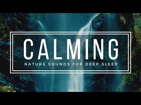 Calming Jungle Waterfall - 8 Hours Birds Chirping in the Forest Meadow for Deep Sleep HD