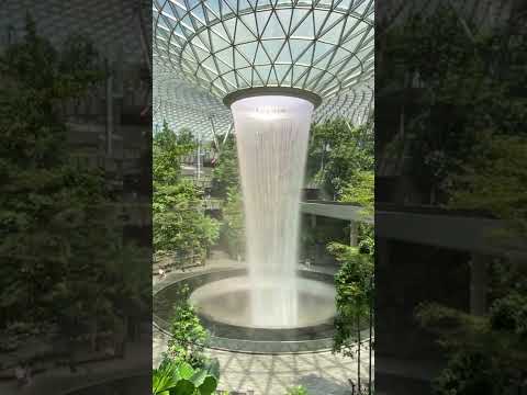 World's Tallest Indoor Waterfall - Singapore Airport #shorts #singapore