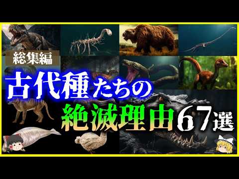 【ゆっくり解説】【総集編】眠れなくなるほど面白い「古代種の絶滅理由」67選を解説【作業用】【睡眠用】