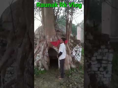 #Raunak#Rk#Vlog||देखिए_अभी_अभी_विजय_जी_क्या_बोल_पड़े||#2022#myvlogs#deshivlog#vlog #MO:09523050036||