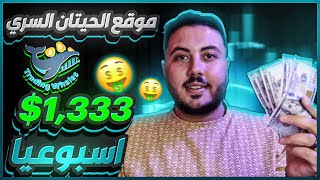 طريقتي السرية لربح $1,333$ اسبوعيا | الربح من الانترنت Trading Whales