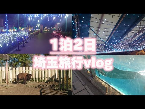 【Vlog】1泊2日の埼玉旅行の様子！