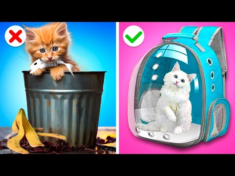 Dad vs Stepdad - We Built a Tiny House for Kitten! Cool Hacks and Funny Situations by Gotcha! Viral