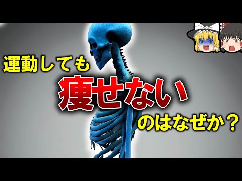 【矛盾】なぜヒトは健康でいたいのに不健康な行動が好きなのか【ゆっくり解説】