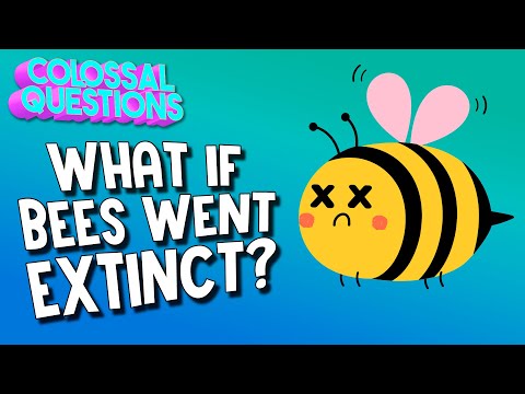 What If Bees Went Extinct? | COLOSSAL QUESTIONS