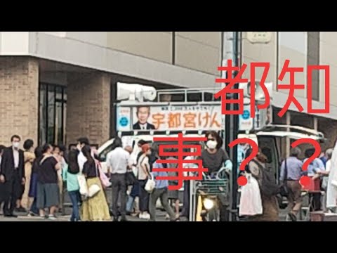 日本东京都2020都知事选举详解